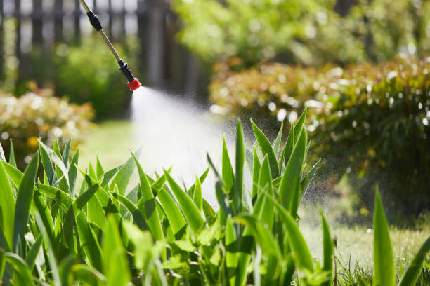 24/7 Emergency Termite Control experts in Butler, MO